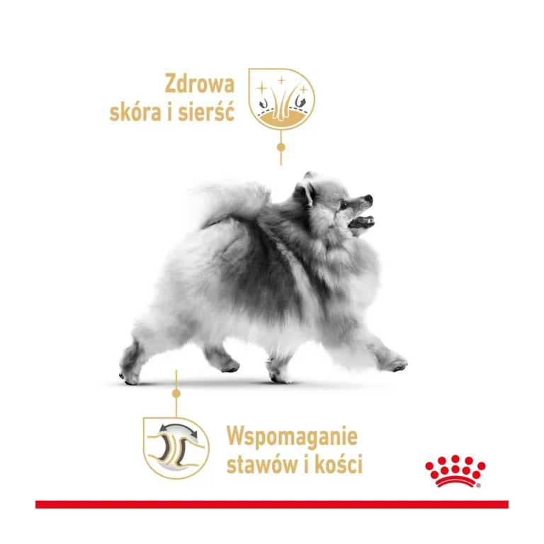 Royal Canin pommeri koera kuivtoidu kasu liigeste ja karvastiku jaoks