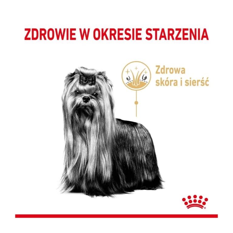 Toitumisjuhend Royal Canin yorkshire terjeri senior kuivtoit 3kg
