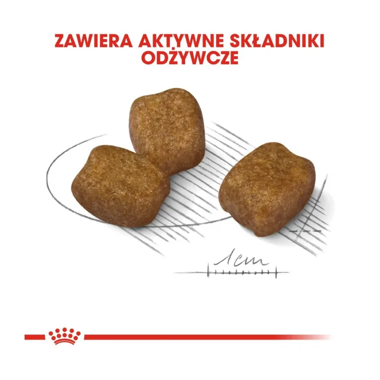 väikest tõugu koerte hambatoit Royal Canin krõbina suurus