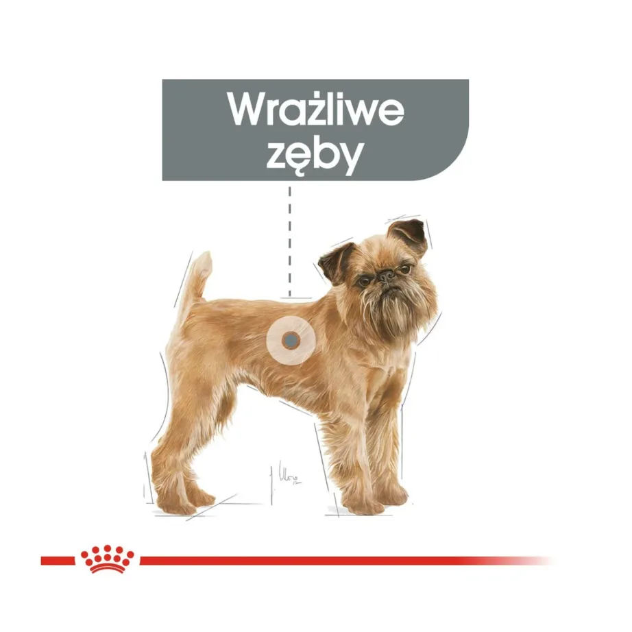 Royal Canin Care Nutrition Mini Dental Care 3 kg kuivtoit täiskasvanud väikest tõugu koertele hambakivi ennetamiseks, linnulihamaitseline – 4
