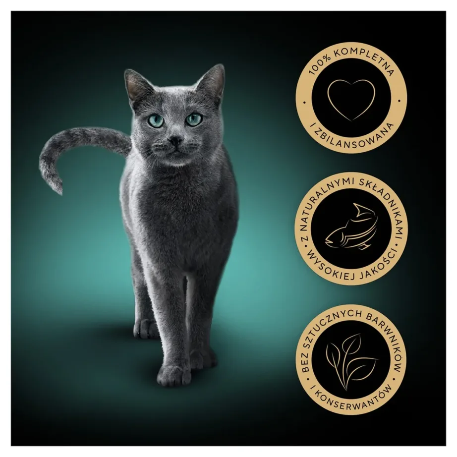 Sheba Delicacy Fishy Flavours Jelly 80x85g teraviljavaba kassitoit – 3