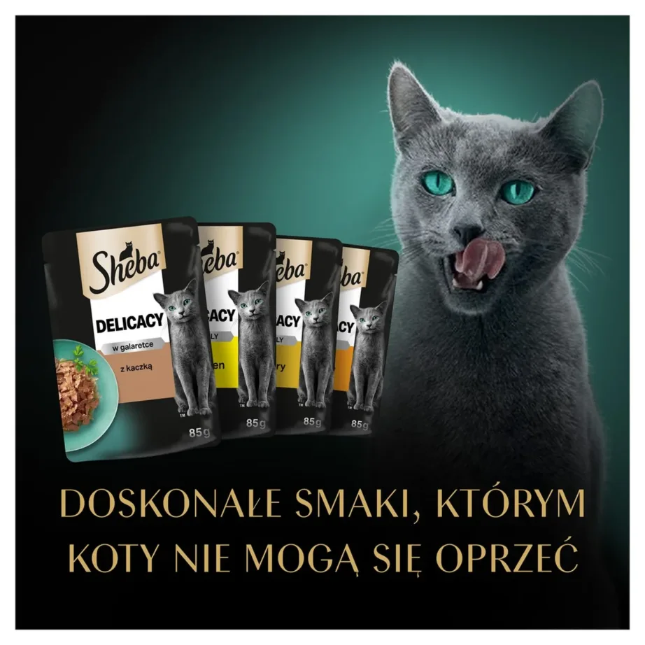 Sheba Delicacy 80x85g linnuliha, pardi ja kalkuni tarretises märgtoit täiskasvanud kassile – 10