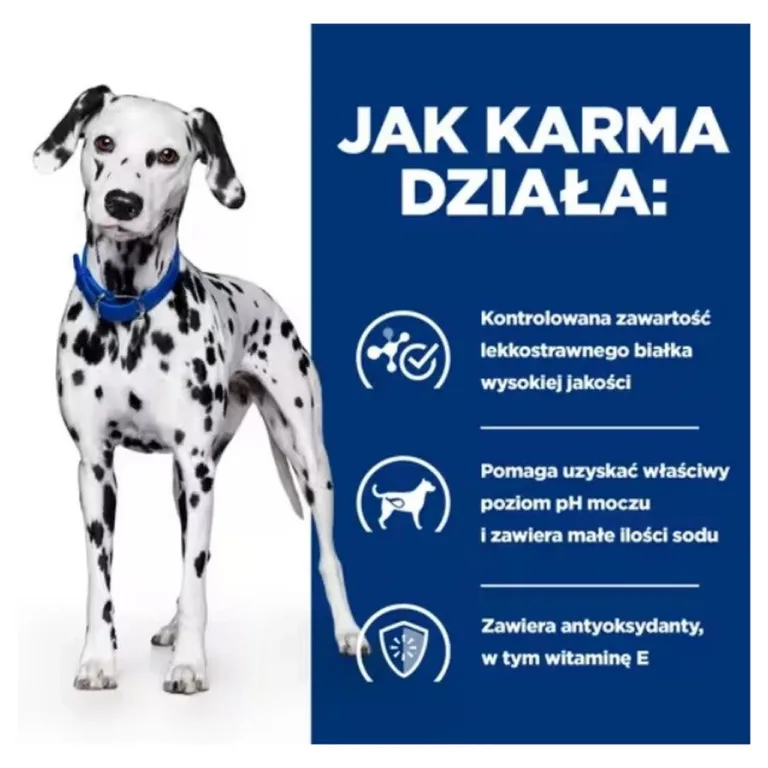 Dalmaatsia koer ja kuseteedele mõeldud info