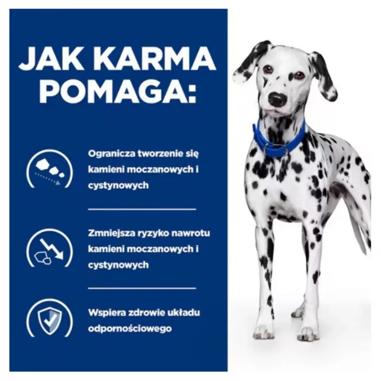 Dalmaatsia koer Hill's meditsiinilise koeratoidu plakadil