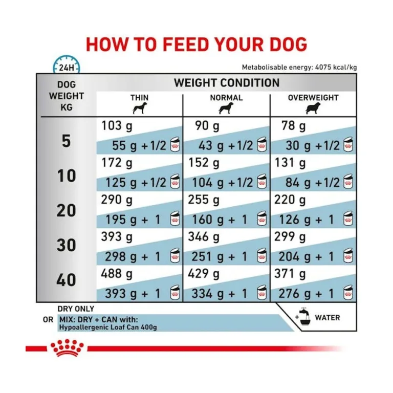 Royal Canin Hypoallergenic koeratoidu söötmissoovitused