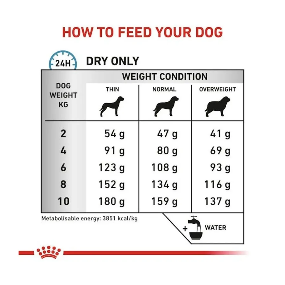Royal Canin Anallergenic Small 3kg gluteenivaba kuivtoit toiduallergiaga väikestele täiskasvanud koertele – 3