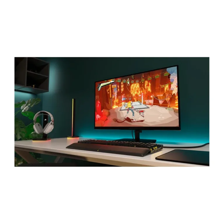 Corsair Xeneon 315QHD165 CM-9020007-PE 31,5