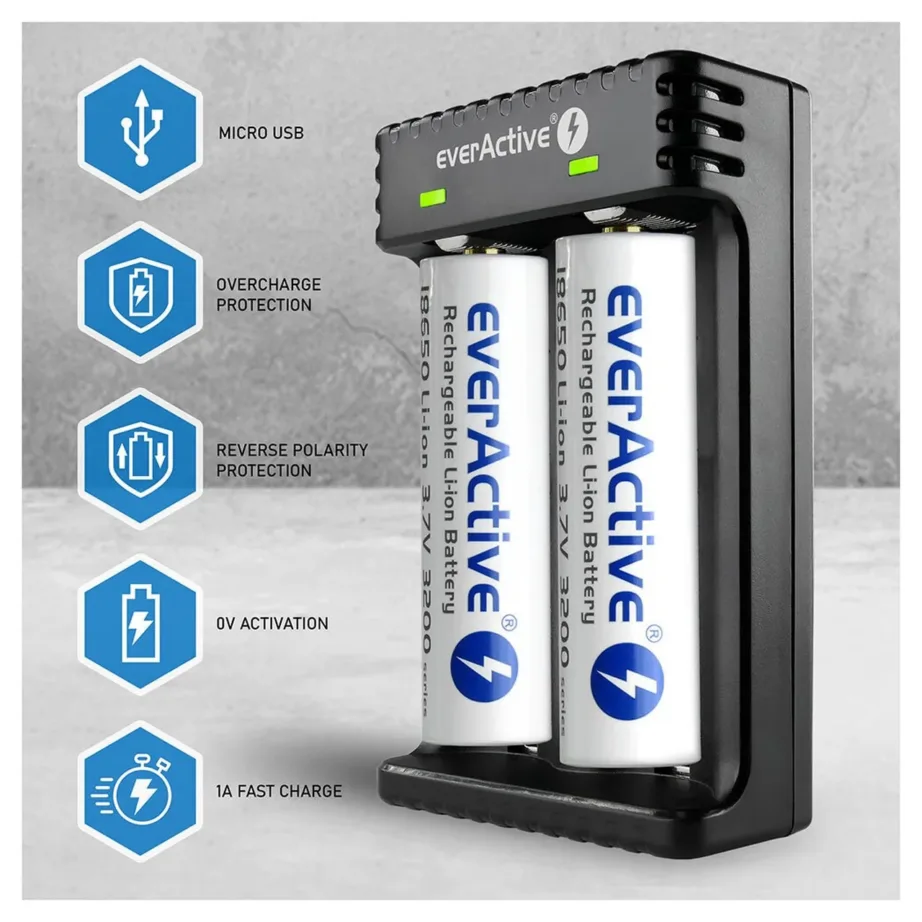 everActive LC-200 2-akuline must liitiumioonakude laadija, sobib A/AA/AAA/AAAA/C/D, 4,2 V 1 A, vooluvõrgutoide – 3