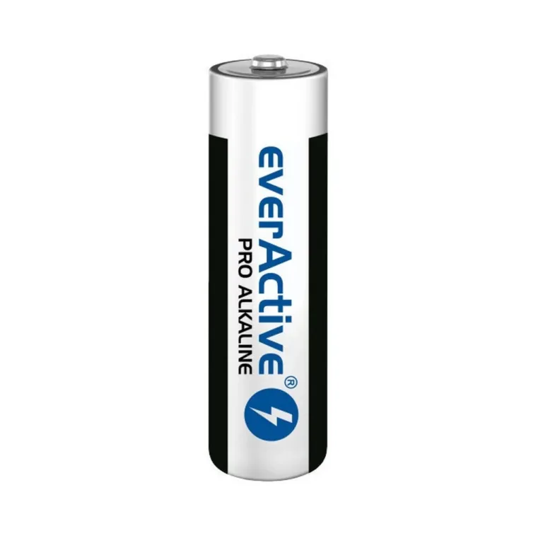 everActive LR610PAKPA 10 tk 3000 mAh AA 1.5 V leelispatareid tööstuspakendis