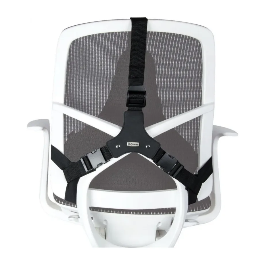 Fellowes 8041801 37,5×36,5 cm must kangast ergonoomiline seljatoetugi antibakteriaalse kattega kontoritoolile – 4