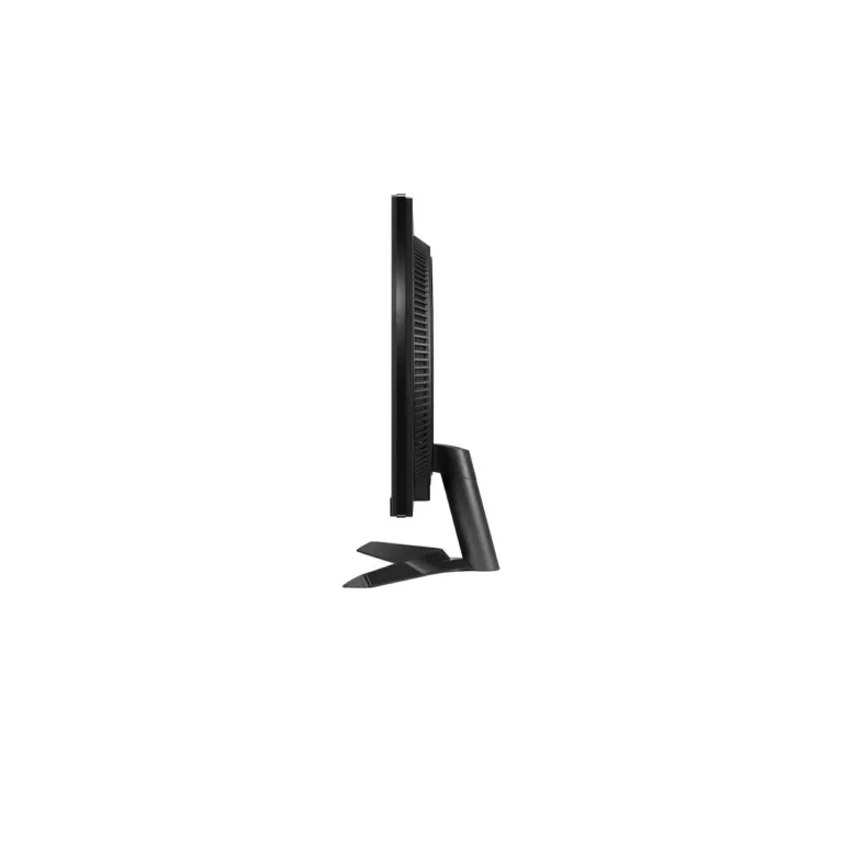 LG 24GS60F-B 24