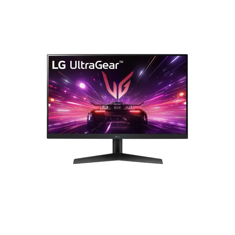LG 24GS60F-B 24