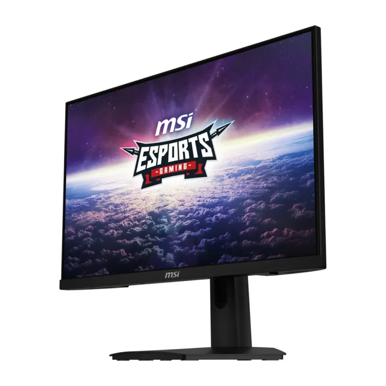 MSI G244F E2 23,8