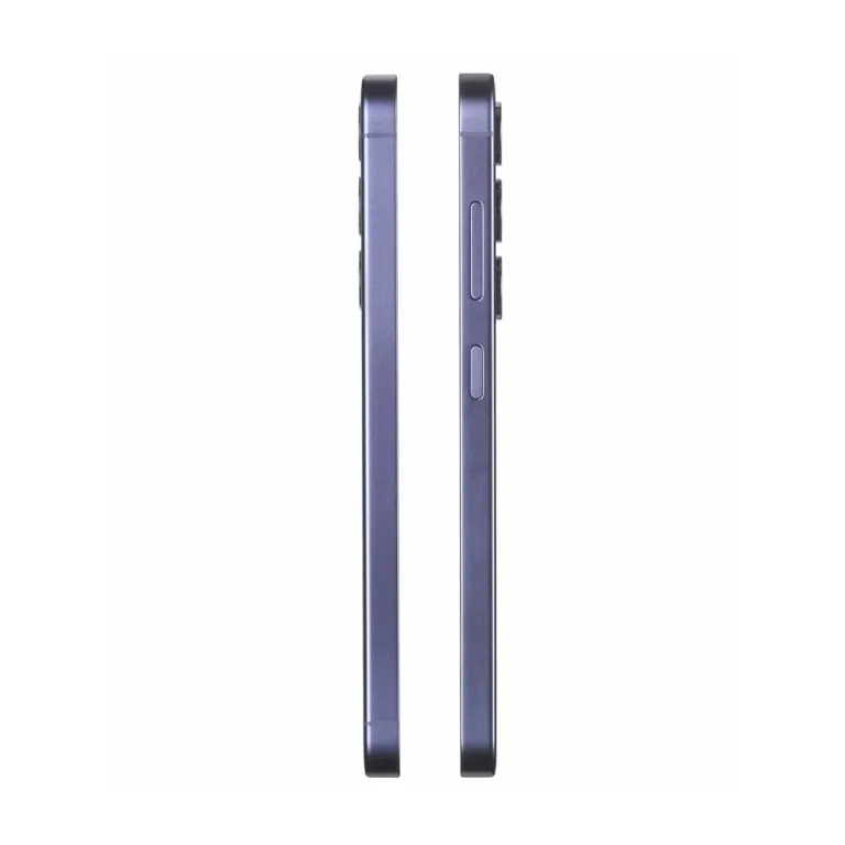 Samsung Galaxy S24 SM-S921BZVDEUE 6,2