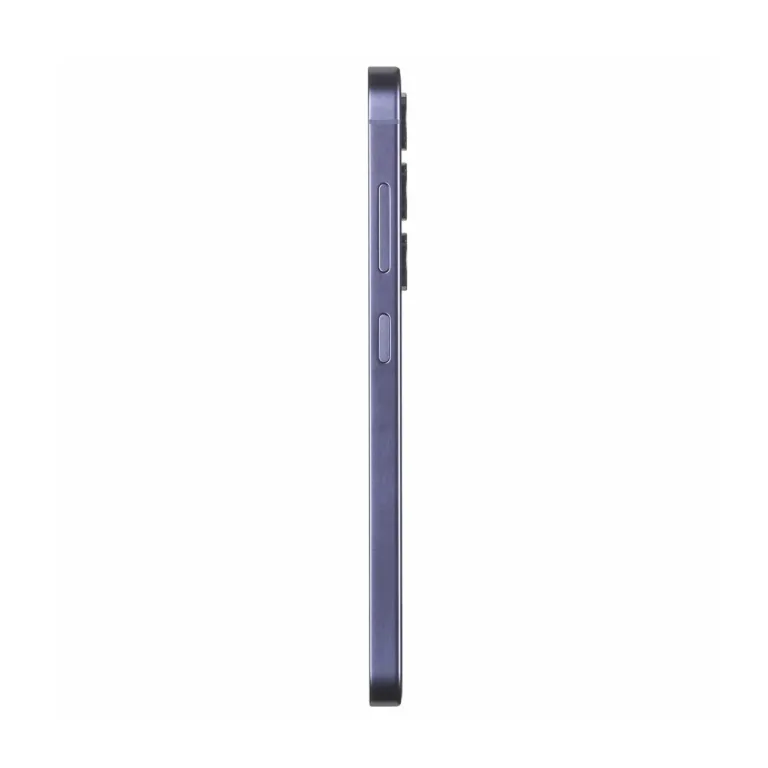 Samsung Galaxy S24 SM-S921BZVDEUE 6,2