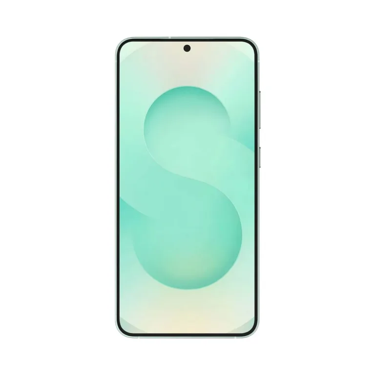 Samsung Galaxy S25+ SM-S936BLGDEUE 6,7