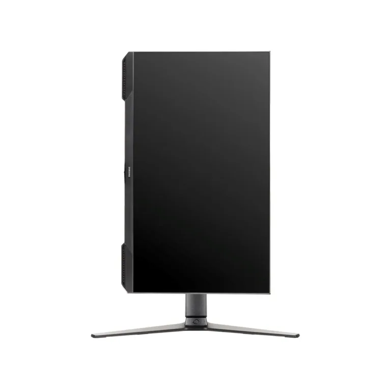 Samsung LS24DG302EUXEN 24