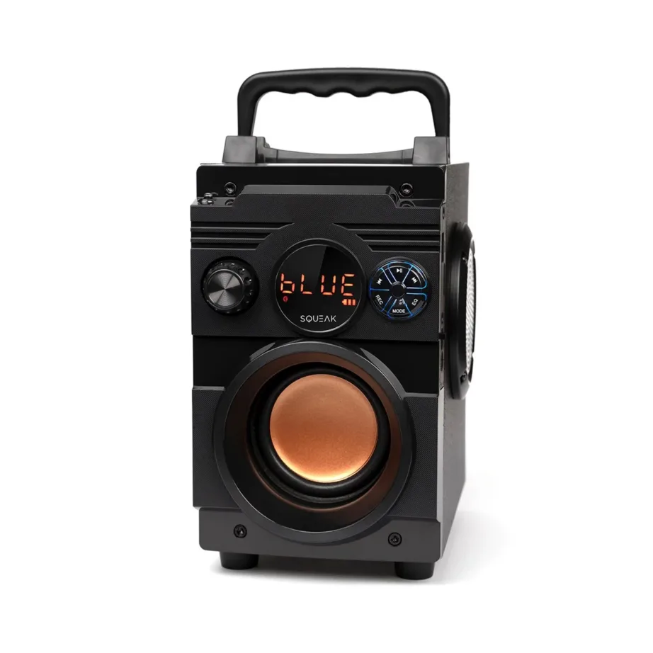 SQUEAK SQ1001 20W Bluetooth 5.1 kaasaskantav stereo kõlar LED-ekraani ja FM-raadioga, must, 7 h aku – 2