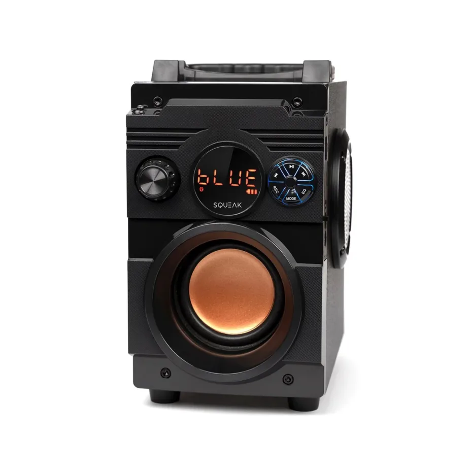 SQUEAK SQ1001 20W Bluetooth 5.1 kaasaskantav stereo kõlar LED-ekraani ja FM-raadioga, must, 7 h aku – 3