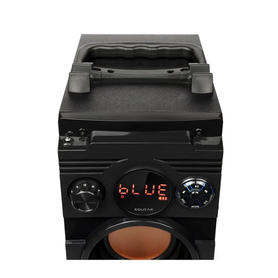 SQUEAK SQ1001 20W Bluetooth 5.1 kaasaskantav stereo kõlar LED-ekraani ja FM-raadioga, must, 7 h aku – 4
