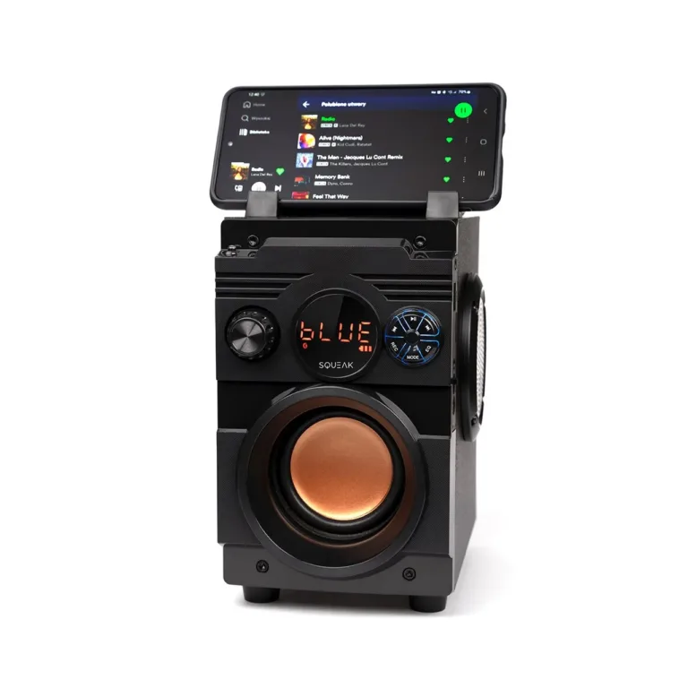 SQUEAK SQ1001 20W Bluetooth 5.1 kaasaskantav stereo kõlar LED-ekraani ja FM-raadioga, must, 7 h aku