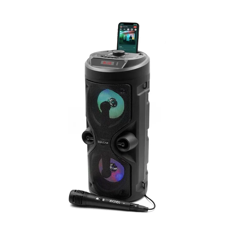 Squeak SQ1004 40W Bluetooth 5.0 LED-ekraaniga kaasaskantav karaoke kõlar mikrofoniga, FM-raadio, USB, SD, must (163x163x400 mm)