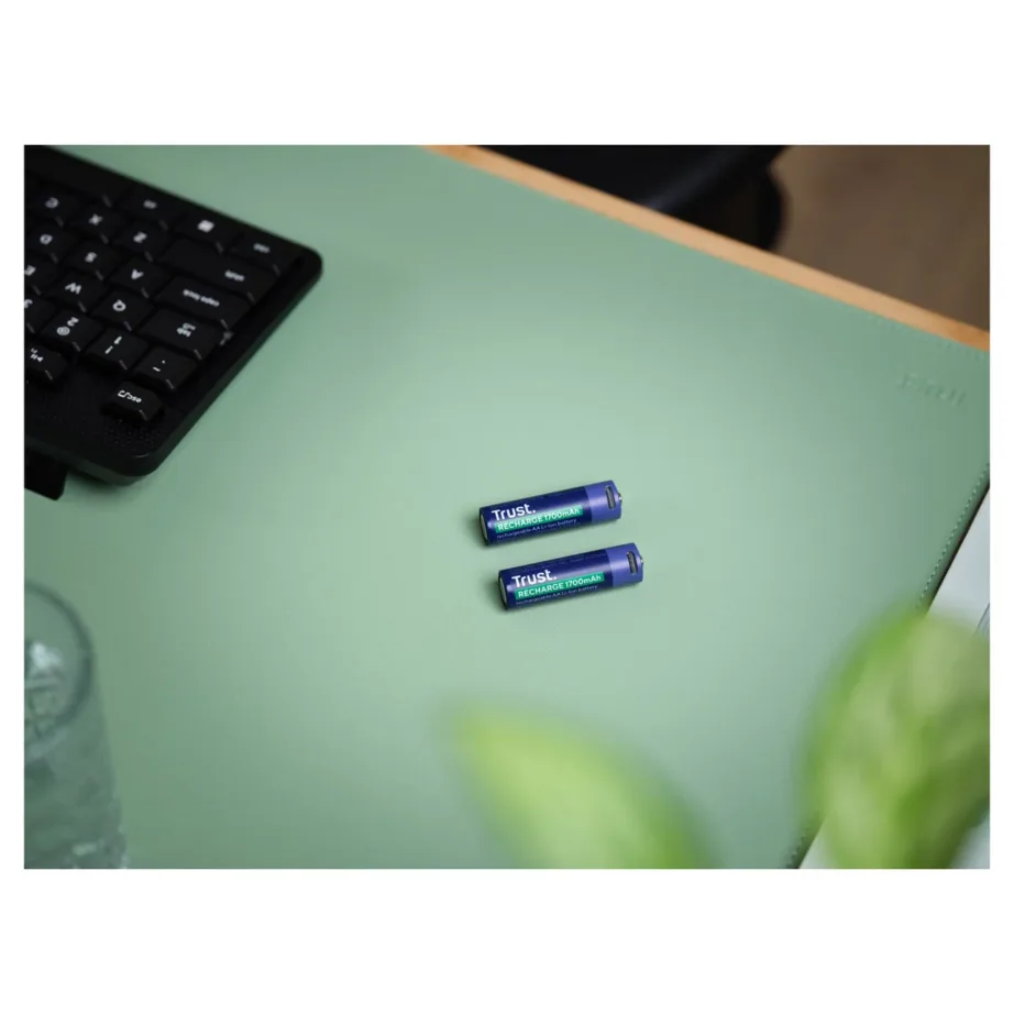 Trust 25584 2x AA 1700mAh 800 tsükliga USB-C laetavad patareid, roheline/sinine – 7