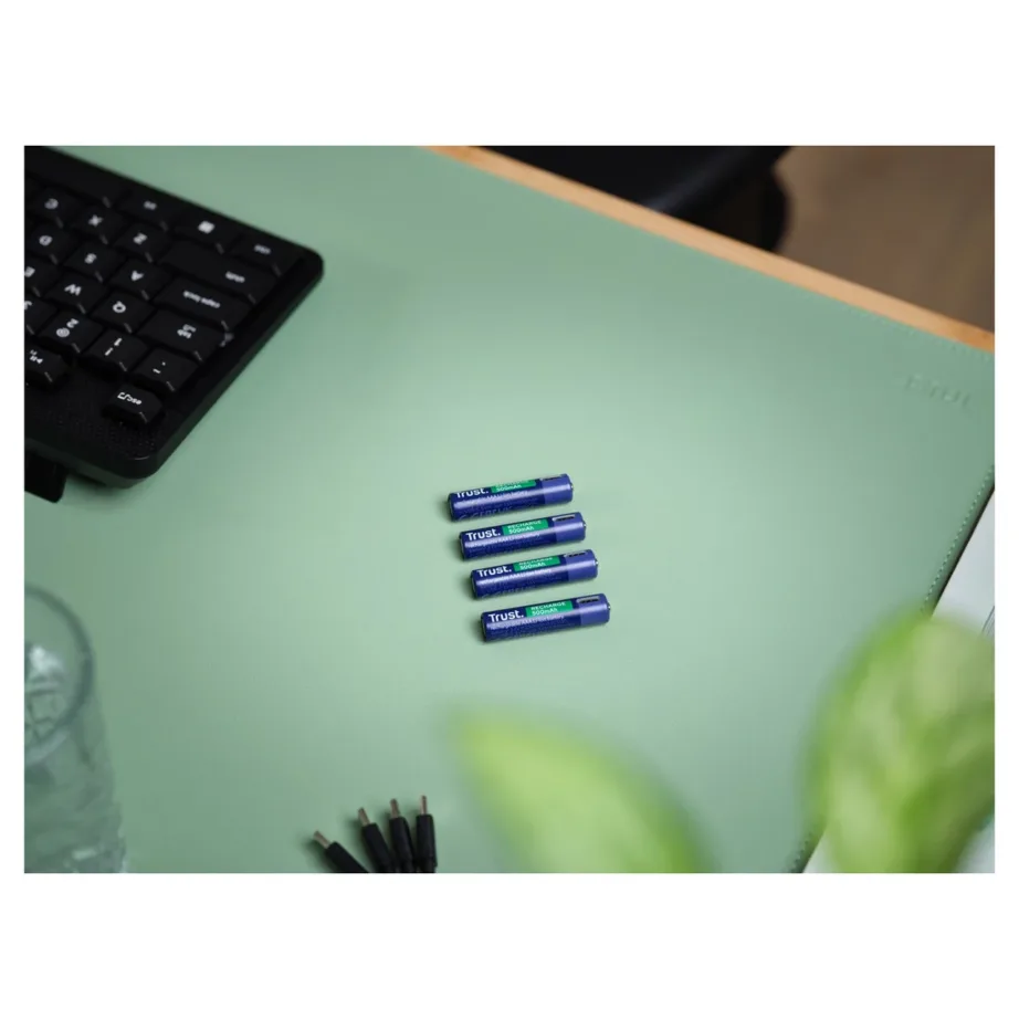 Trust 25671 4×AAA 500mAh laetavad patareid USB-C laadimisega, 1 h laadimisaeg, blisterpakendis – 6