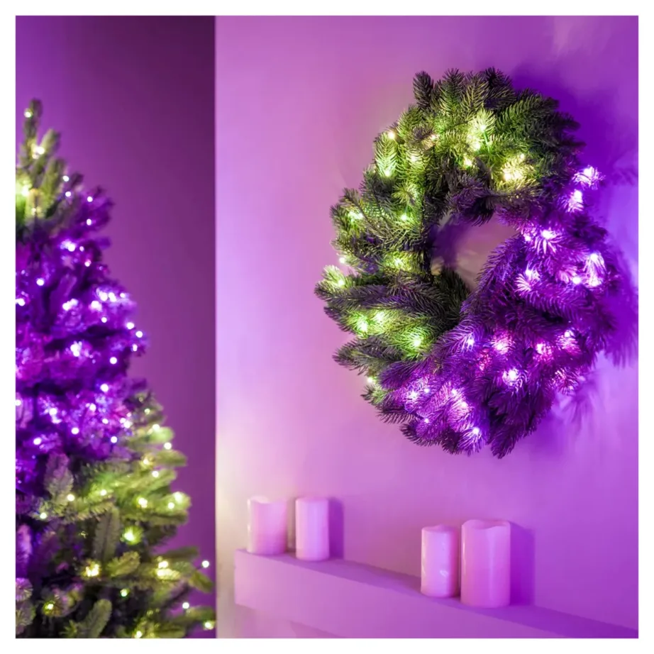 Twinkly GD20P4425P00 60 cm RGB LED jõulupärg 50 pirniga WiFi/Bluetooth siseruumidesse – 2