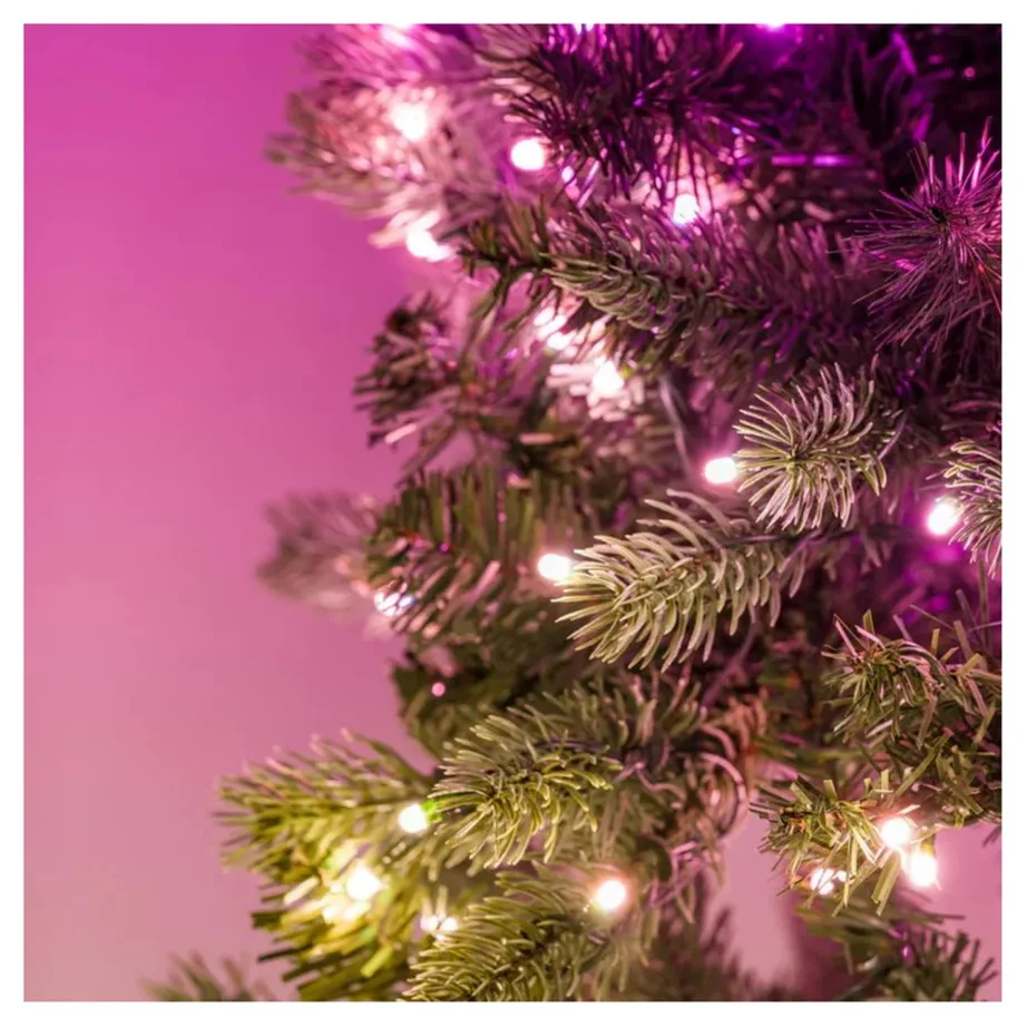 Twinkly GD20P4425P00 60 cm RGB LED jõulupärg 50 pirniga WiFi/Bluetooth siseruumidesse – 6