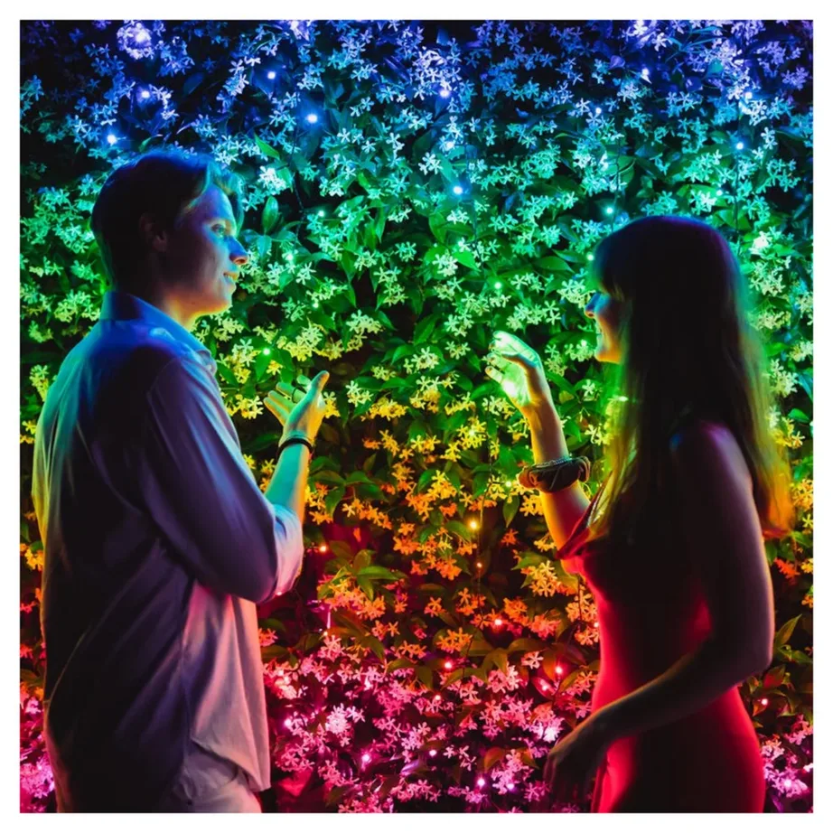 Twinkly Strings TWS600SPP-BEU 600 RGBW LED 48 m nutikas valguskett, IP44, värviline, Wi-Fi/Bluetooth – 5