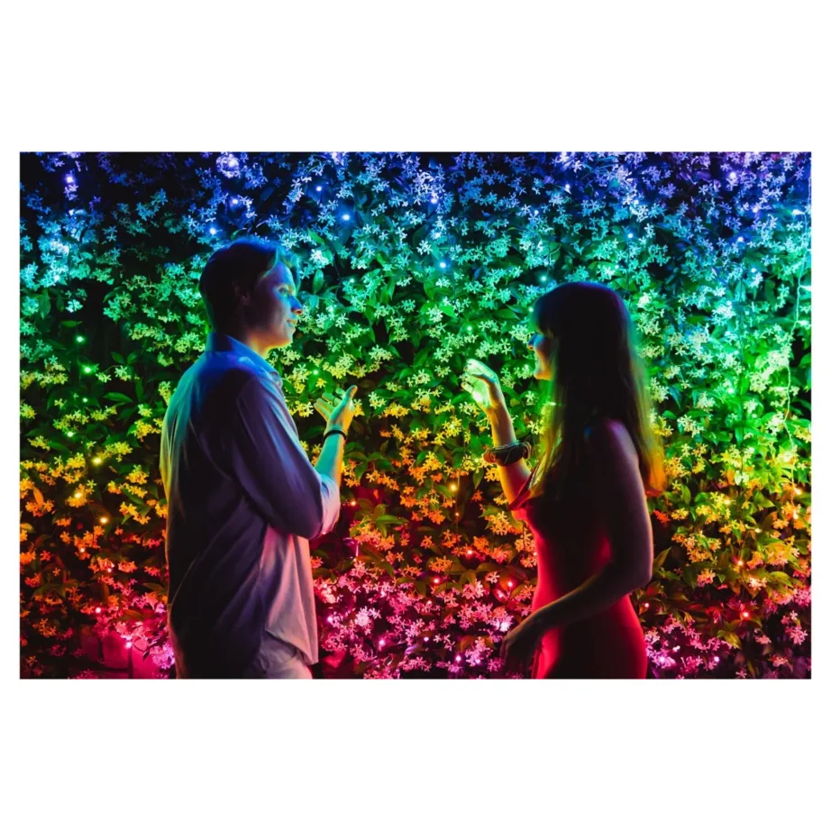 Twinkly TWS400SPP-BEU 32 m 400 RGB+W LED nutikad sise- ja välistingimuste jõulutuled, Wi-Fi/Bluetooth, IP44 – 9