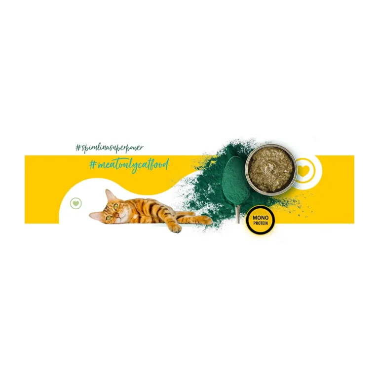 3coty 02 Chicken 180g gluteenivaba monoproteiinne märgtoit täiskasvanud kassile