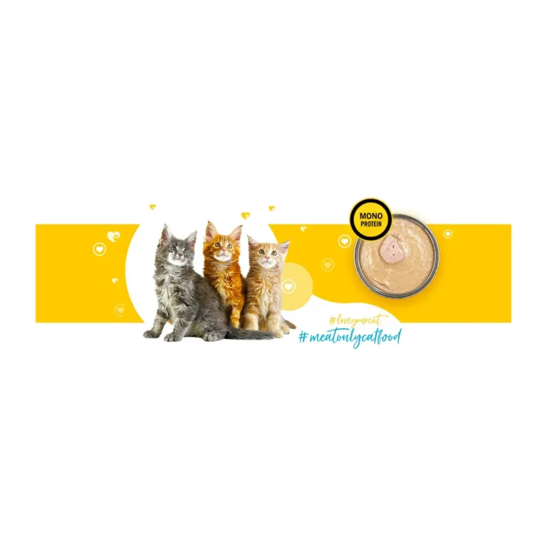 3COTY 33 Chicken Kitten 180g teravilja- ja gluteenivaba kanaliha märgtoit kassipoegadele