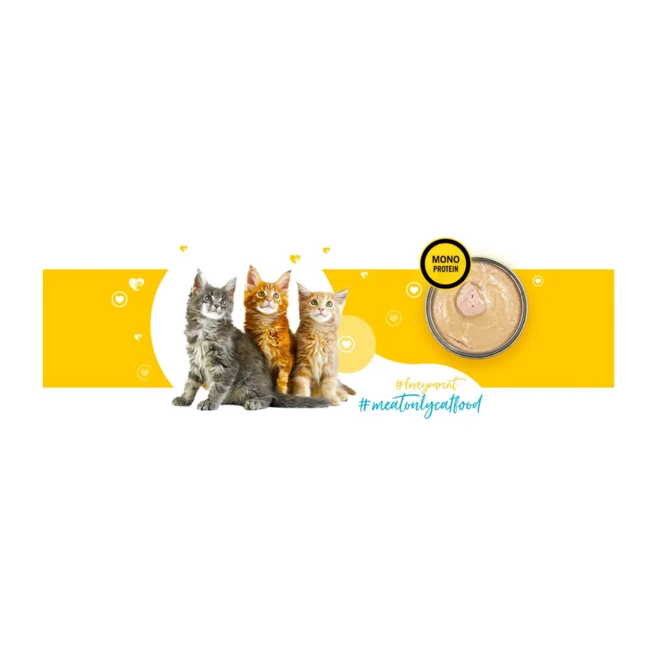 3COTY 33 Chicken Kitten 180g teravilja- ja gluteenivaba kanaliha märgtoit kassipoegadele - 3