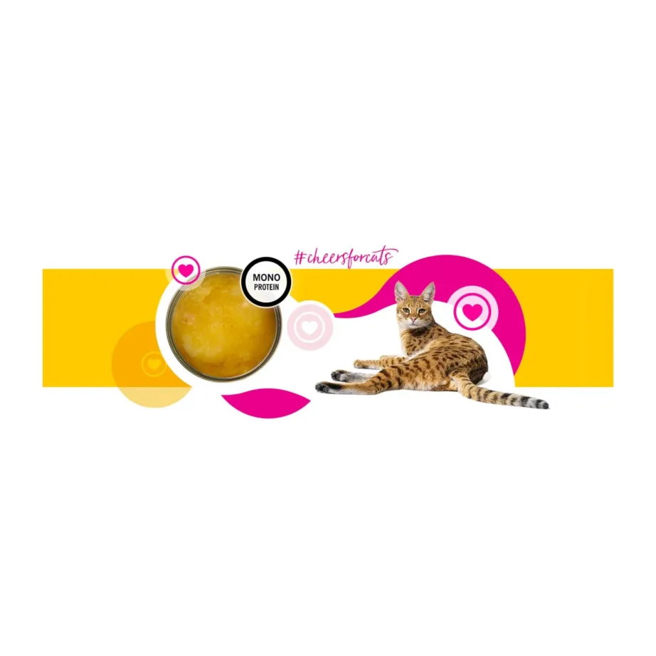 3coty Chicken Cheers! 75g kanaga täiendav märgtoit täiskasvanud kassidele, gluteeni- ja suhkruvaba – 8