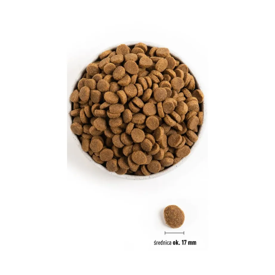 ACANA Adult Large Breed 11,4 kg gluteenivaba kuivtoit täiskasvanud suurtele koertele kanaga