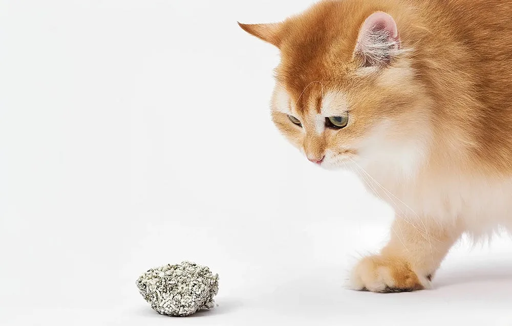 Tugev klomp – lihtne eemaldada ja hoida kast puhas