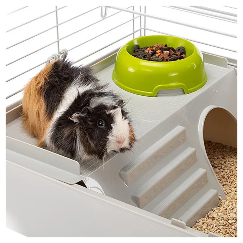 FERPLAST Cavie 80 – Cage  – 77×42 cm – 4