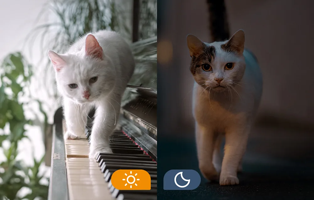 Salvestus microSD‑kaardile või pilve