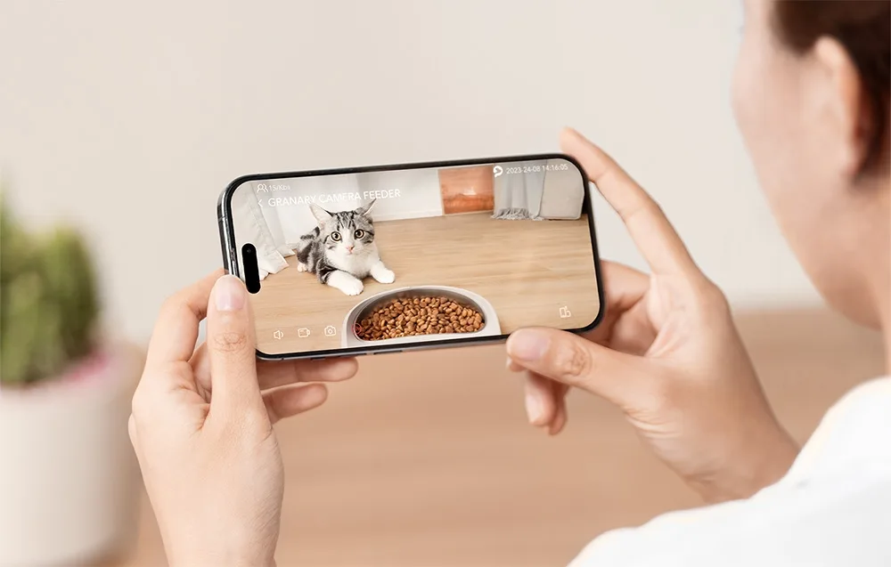 Kahesuunaline heli ja lühike söögikella teade suhtluseks lemmikuga