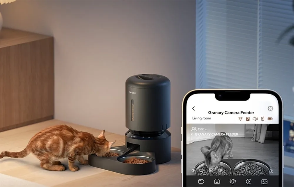 Öörežiimiga kaamera salvestab lemmiku liikumise ka pimedas