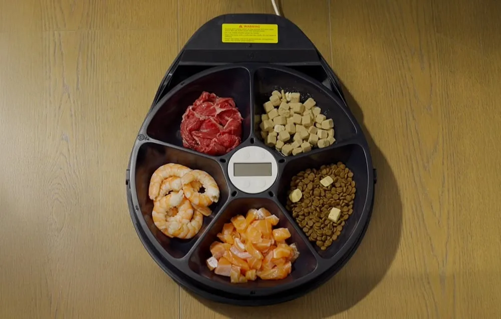 Viiekambriline söötja ajastamiseks: 5 × 330 ml