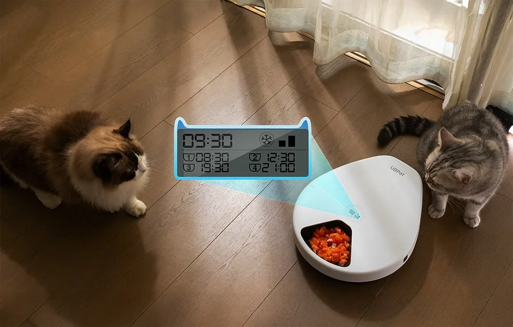 Juhtpaneel kaane all; kaks kassi seadme kõrval