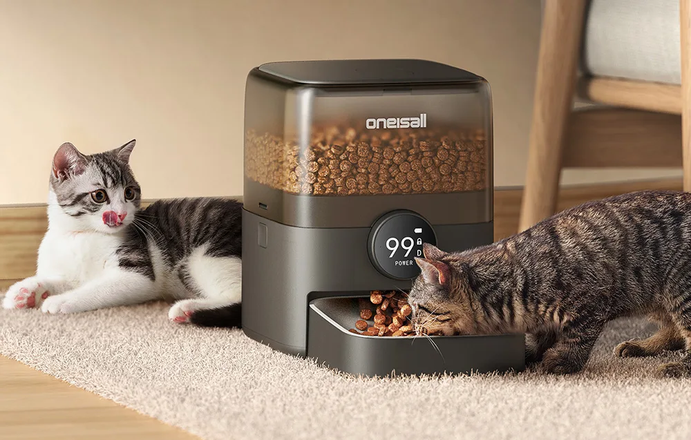 Kaks kassi automaatse söötja kõrval