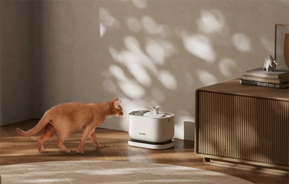 Petlibro Dockstream juhtmevaba kassipurskkaev dokialusega