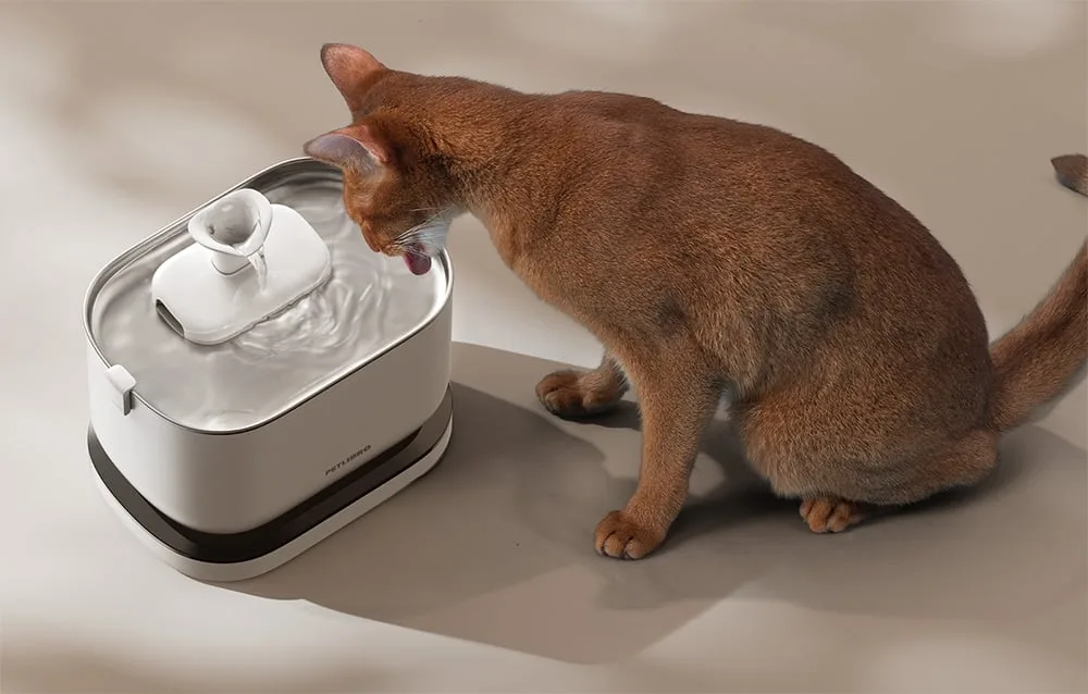 Turvaandurid: kuivkäigu kaitse ja FOD metalli tuvastus