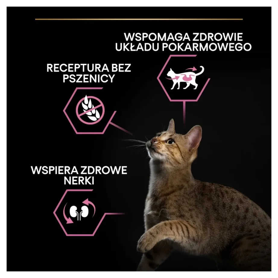 PURINA Pro Plan Delicate digestion Turkey – dry cat food – 400g – 3