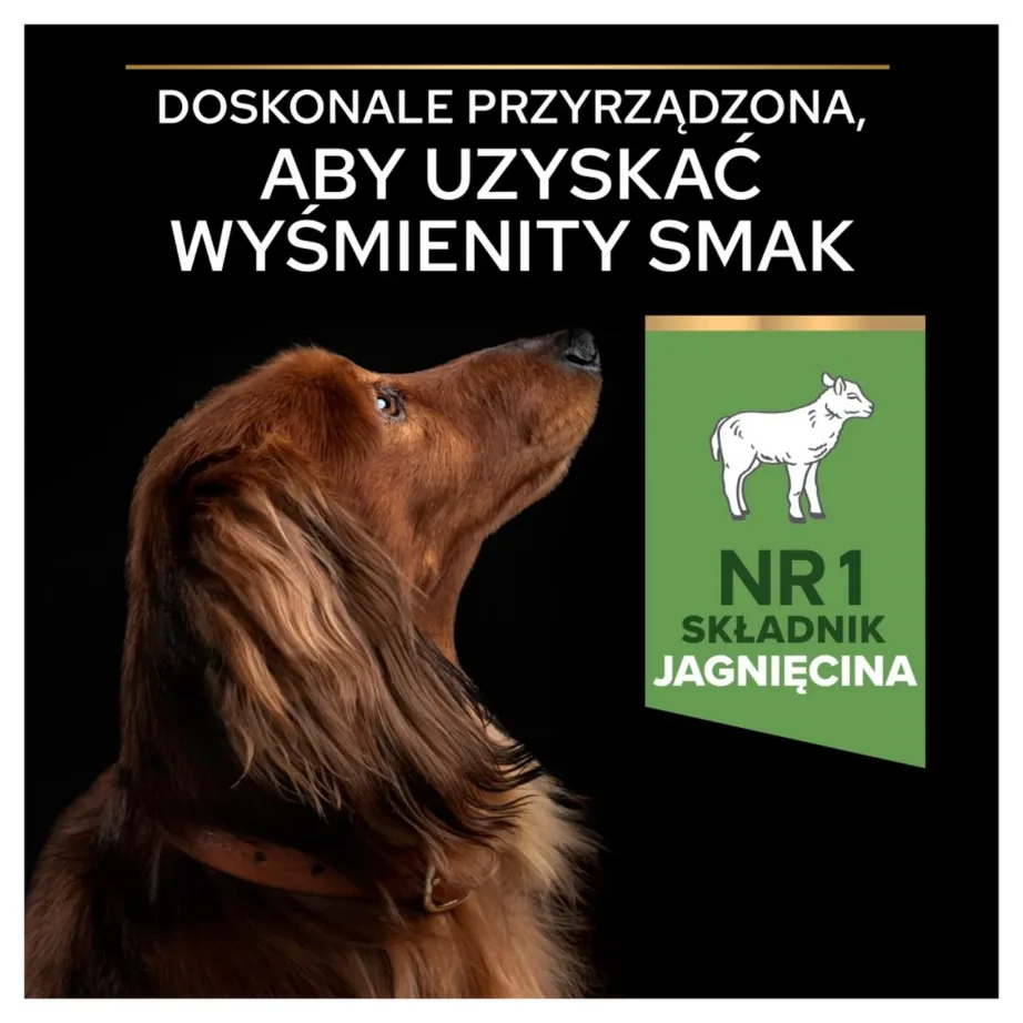 PURINA Pro Plan Sensitive Digestion Small & Mini Adult Lamb – dry dog food – 700 – 2