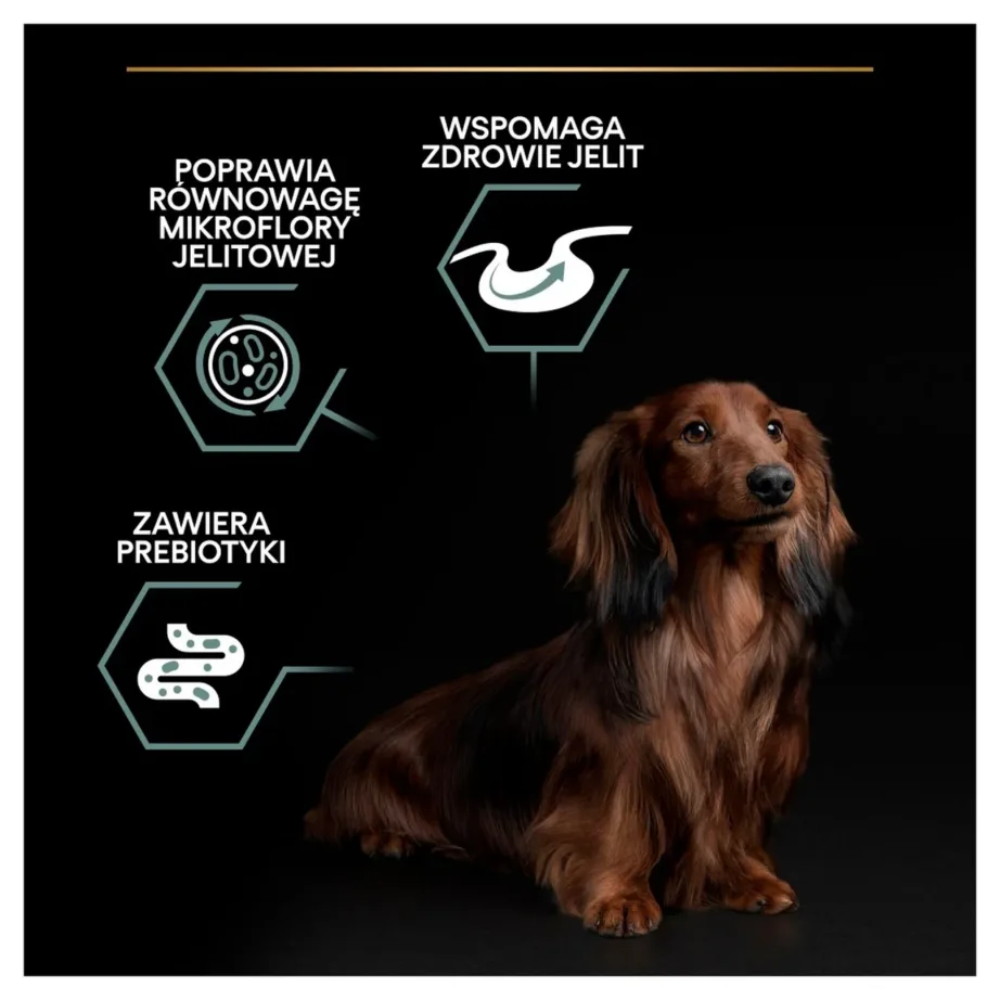 PURINA Pro Plan Sensitive Digestion Small & Mini Adult Lamb – dry dog food – 700 – 4